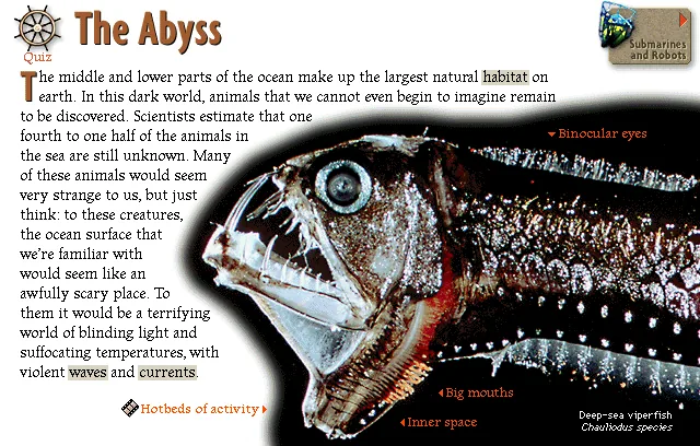 The Abyss