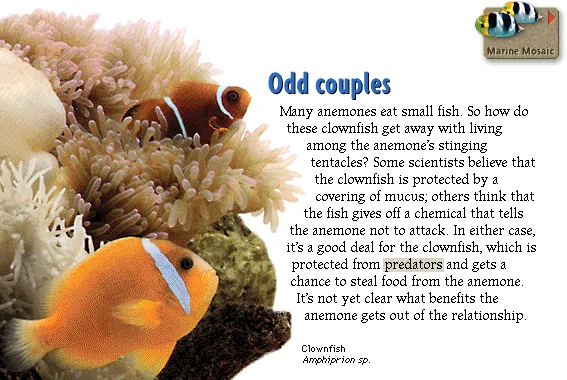 Odd couples