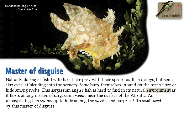Master of disguise