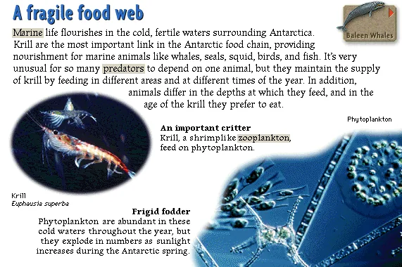A fragile food web
