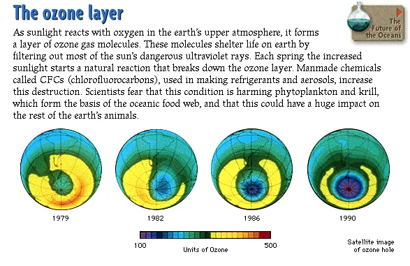 The ozone layer