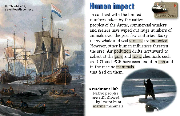 Human impact