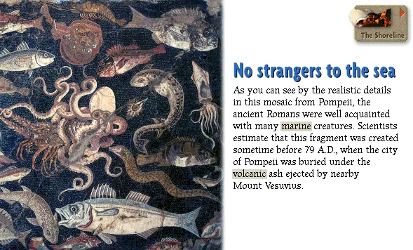 No strangers to the sea