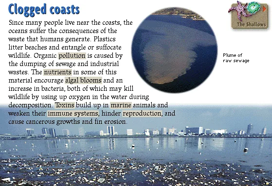Clogged coasts