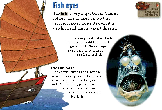 Fish eyes