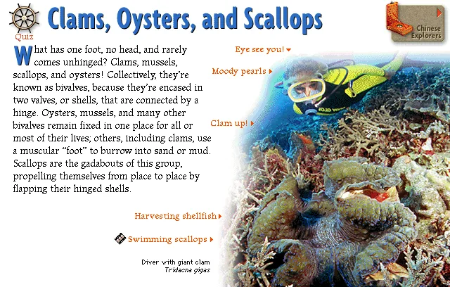 Clams, Oysters, and Scallops