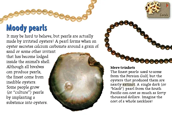 Moody pearls