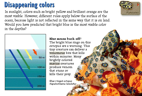 Disappearing colors