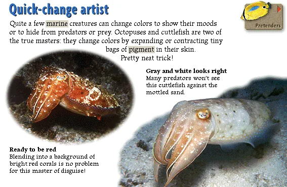 Quick-change artist