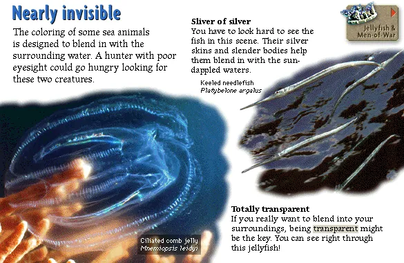 Nearly invisible