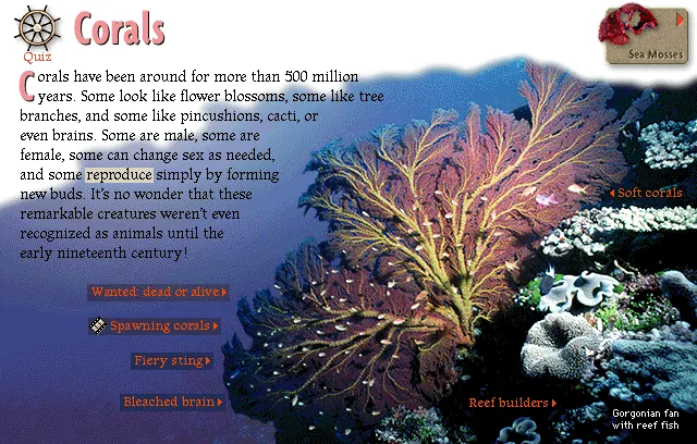 Corals