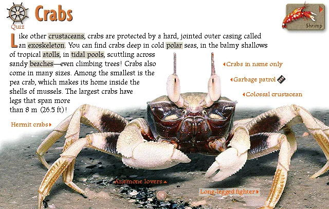 Crabs
