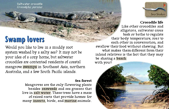 Swamp lovers