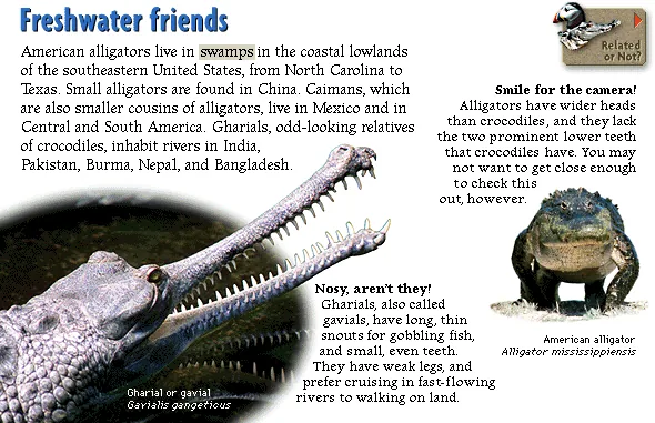 Freshwater friends