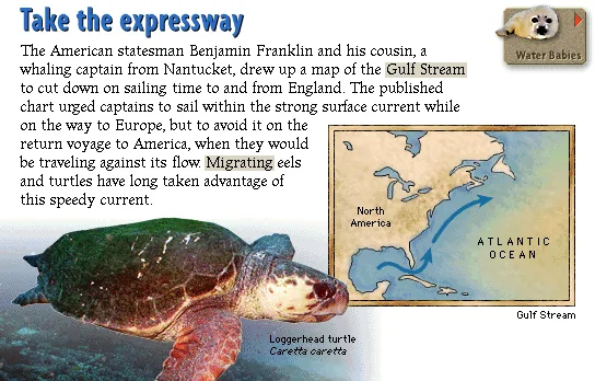 Take the expressway