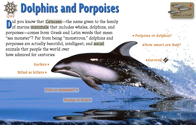 Dolphins and Porpoises