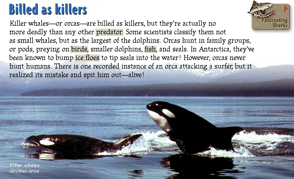 Billed as killers