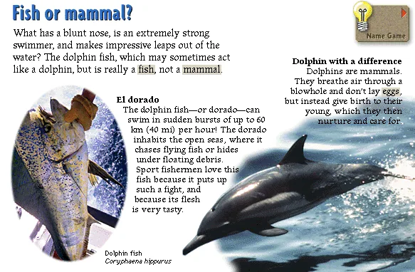 Fish or mammal?