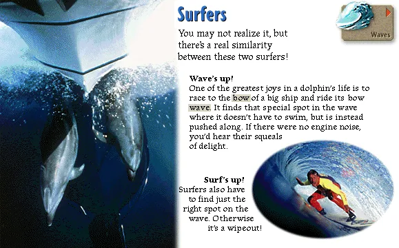 Surfers