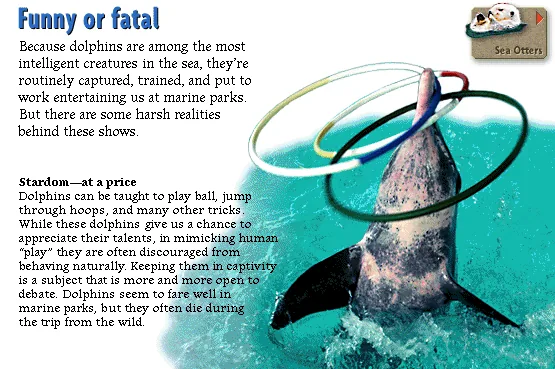 Funny or fatal