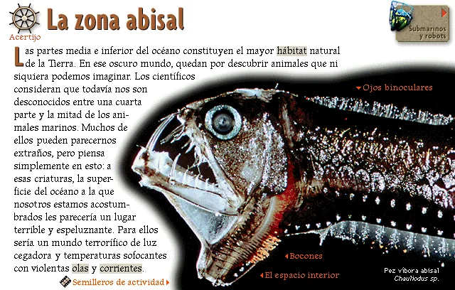 La zona abisal