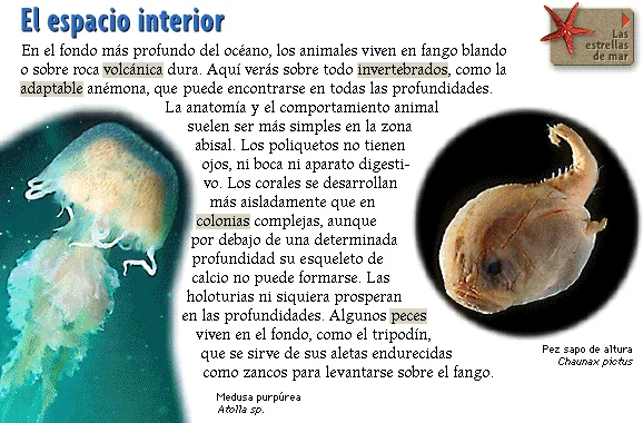 El espacio interior