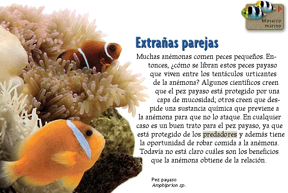 Extrañas parejas