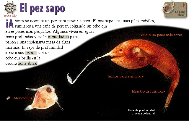 El pez sapo