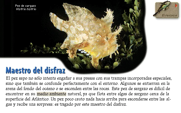 Maestro del disfraz