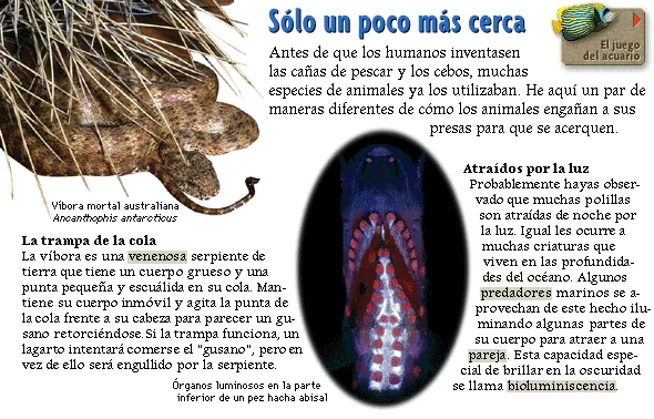 Sólo un poco más cerca