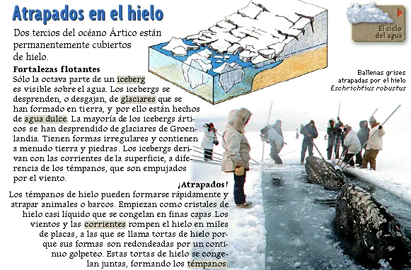 Atrapados en el hielo
