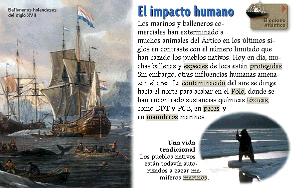 El impacto humano