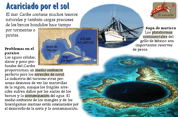 Acariciado por el sol