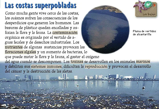 Las costas superpobladas