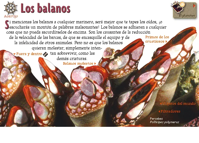 Los balanos