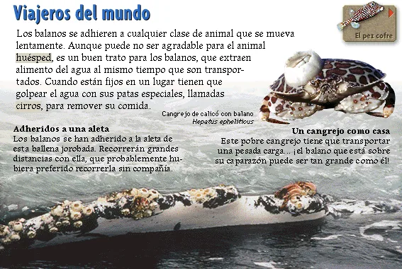 Viajeros del mundo