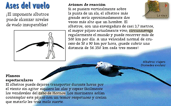 Ases del vuelo