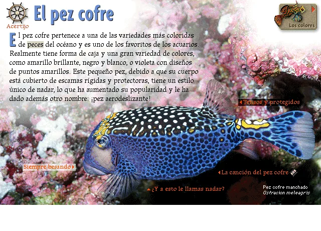 El pez cofre