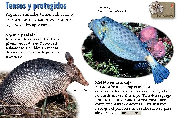 Tensos y protegidos