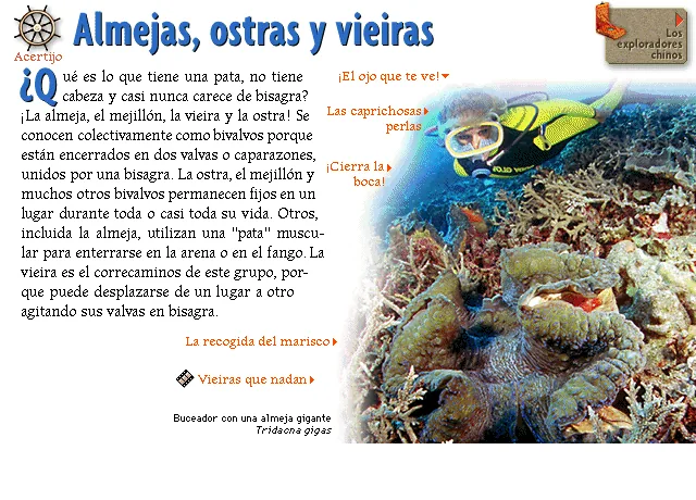 Almejas, ostras y vieiras