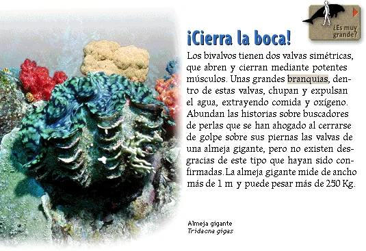 ¡Cierra la boca!