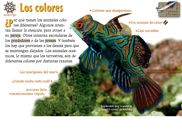 Los colores