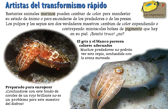 Artistas del transformismo rápido
