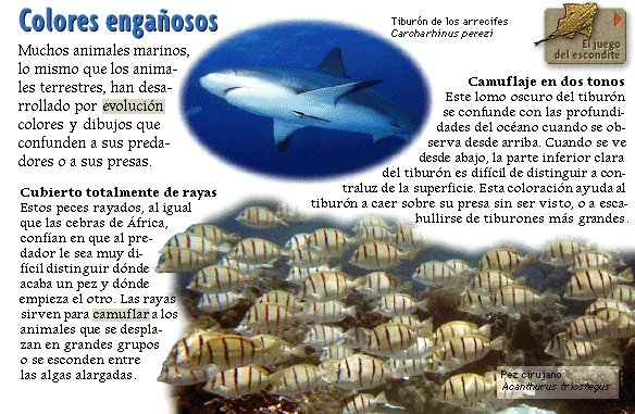 Colores engañosos