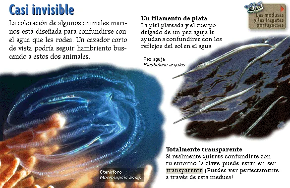Casi invisible