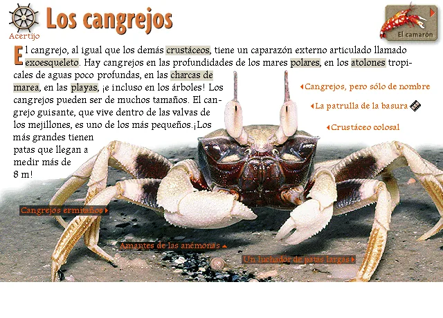 Los cangrejos
