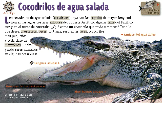 Cocodrilos de agua salada