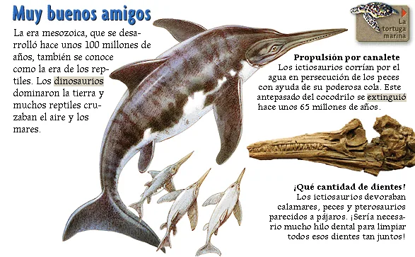 Muy buenos amigos