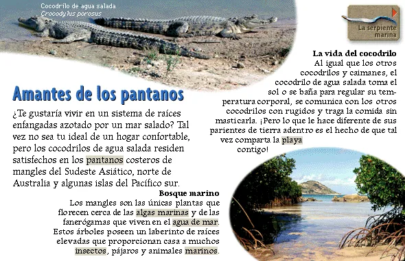 Amantes de los pantanos