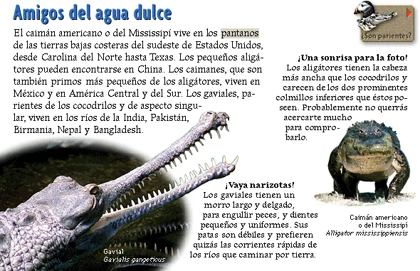 Amigos del agua dulce